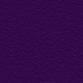 簡紫 - 5