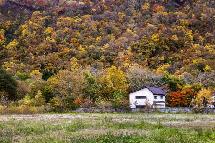 1910 日本東北自駕 奧入瀨溪流紅葉 青森祕境之旅day6 十和田湖 奧入瀨溪 ㄚ椪 無賴 Udn部落格