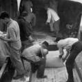 1947年7月21日，上海。這是為上海市郊區設立的難民營搬運麵粉