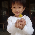 豪豪在庭院的角落摘了一朵小黃花，興奮的跑到我跟前，張著黑溜溜的雙眼對我說：媽媽，花花送給妳～