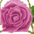 Flower15.gif