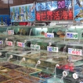 碧砂漁港漁市場