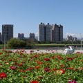 台北市中正河濱公園