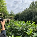 台北植物園2019