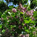 花蓮菁華溪畔公園、北濱公園