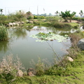 景觀設計--禾樂居生態池