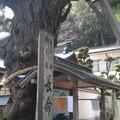 第2番札所 日照山極楽寺