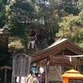 第2番札所 日照山極楽寺