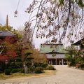 第6番札所 温泉山安楽寺16