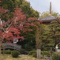 第6番札所 温泉山安楽寺15