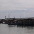 2013-07-16~竹南龍鳳漁港