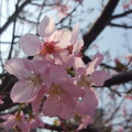 桃園陽明運動公園