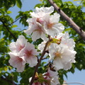 桃園陽明運動公園