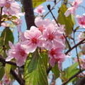 桃園陽明運動公園