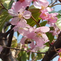 桃園陽明運動公園