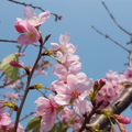 桃園陽明運動公園