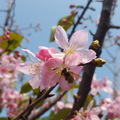 桃園陽明運動公園