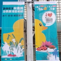 黃色小鴨、蓮花、點點的展覽
攝於20131103