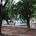 大埔湖濱公園人蚊大戰----老小玩豐了露營篇 - 1