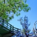 台東森林公園-----老小玩豐了之環島篇D4 - 41
