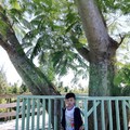 台東森林公園-----老小玩豐了之環島篇D4 - 42