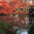 京都府立植物園