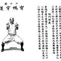 虎鶴雙形拳17