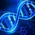 DNA〈雙螺旋形〉