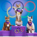 奧運優勝貓選手