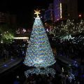 2018-12-08 台中柳川水岸聖誕樹