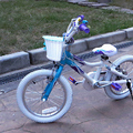 2015-11-25 Megan 學單車