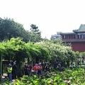 20190505  台北植物園