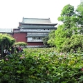 20190505  台北植物園