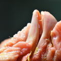 麻油菇菇雞