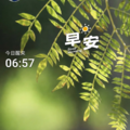 早安打卡圖，2026.07.09，花開如火，也如寂寞 