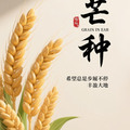 日安打卡圖，2026.06.05，今日芒種