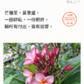 心語籤，芒種，2026.06.05