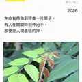 心語籤，守護，2026.09.12