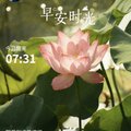 早安打卡圖，2026.07.08，野風到處花滿徑，青池月下浮碎影 