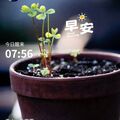 早安打卡圖，2026.08.22，青山一片雲霧，心安即歸處