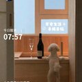 早安打卡圖，2026.06.22，人生最曼妙的風景，是內心的淡定與從容