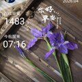 早安打卡圖，2026.04.08，看花開花落，望雲卷雲舒