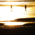 漫步在溼地的人們，在夕陽照亮的水邊好不浪漫