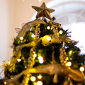 玄關的聖誕樹。今年使用金色星星放樹頂。