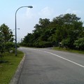 走往Sungei Buloh Wetland reserve 的鄉村路