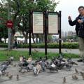 2015年3月去台北臨濟寺掃墓，和大叔叔在圓山捷運站廣場外餵鴿子。