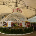 TIOS2012台灣國際蘭展