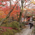 2018-京都