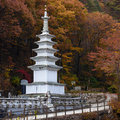 韓國楓葉+釜山煙火