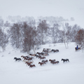 內蒙壩上冬雪